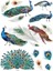 Peacock Transfers®-Peacock Boyut 61 cm x 83 cm - 3 Yaprak - Toplam Tasarım Boyutu 61 cm x 83 Cm/rub-Ons 1