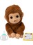 Live Pets My Baby Monkey - 50'den Fazla Ses ve Reaksiyon Özelliğine Sahip Sevimli Interaktif Bebek Oyuncağı, Ağız, Başparmak Emme, Biberon ile Beslenme ve Sallanma Özellikleri 1