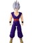 30 cm Dragon Ball Sınır Tanımaz Serisi Figürleri, Son Gohan Beast 1