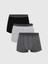 Yeni Sezon Standart Kalıp Pamuklu Esnek Erkek Boxer 3'lü 1