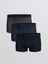 Yeni Sezon Standart Kalıp Pamuklu Esnek Erkek Boxer 3'lü 1