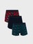 Yeni Sezon Standart Kalıp Pamuklu Esnek Erkek Boxer 3'lü 1
