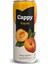 Cappy Kayısı Nektarı Kutu 12X330 ml 1