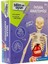 Bilim ve Oyun - Insan Anatomisi Oyuncak 1