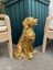 Dekoratif Golden Köpek Biblo Avcı Köpeği Heykel 1