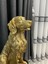 Dekoratif Golden Köpek Biblo Avcı Köpeği Heykel 3