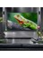 86QNED82A6B 86 Inç 218 cm 4K Smart Tv Aı Sihirli Kumanda HDR10 WEBOS25,UYDULU 4