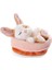 48707 Soft Toy Sleeping Pets Caramel Dotted In Peach Basket 12CM 3