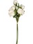 Çiçek Gül Demeti Beyaz 60 Cm. 1