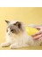 Buharlı Yumuşak Silikon Uçlu Kedi - Köpek Tüy Tarama Tarağı Yıkama Tımar Fırçası 4
