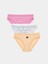 Yeni Sezon Baskılı Bikini Külot 3'lü 1