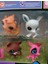 Little Pet Suit Neşeli Minişler 8'li Ailesi Pet Star Miniş Koleksiyonu Oyuncak Figür 4