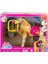 HXJ42 Barbie ve Dansçı Atı - Barbie Mysteries: The Great Horse Chase 1