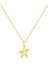 Seastar Işıltılı Yıldız Minimal Kadın Gümüş Kolye 1