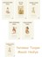 Beatrix Potter 9 - Yaramaz Tavşan Masalı + Beatrix Potter 17 - Timmy Küçükparmak Masalı + Beatrix Potter 4 - Tavşan Benjamin Masalı 1