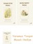 Beatrix Potter 1 - Tavşan Peter Masalı + Beatrix Potter 10 - Bayan Moppet Masalı + Yaramaz Tavşan Masalı 1