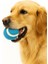 Dayanıklı Köpek Oyun Topu – Evcil Hayvanlar Için Eğlenceli Köpek Oyuncağı 1