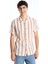 Yeni Sezon Slim Fit Kısa Kollu Çizgili Erkek Gömlek 1