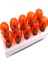 10-ADET-12V-21-5W-1016-TURUNCU-SINYAL-AMPUL-CIFT-DUY-YAKIN-TIRNAK 1