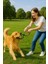 Ipli Köpek Oyun Topu | Dayanıklı Köpek Oyuncağı Çekiştirme ve Top Oyunu 2