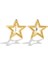 Çelik Yıldız Çerçeve Küpe | Altın Rengi Kararmaz Takı 1