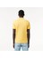 Slim Fit Polo Yaka T-Shirt 3