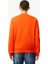 Erkek Bisiklet Yaka Regular Fit Sweatshirt 3