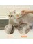 Ieg® Kedi Köpek Buharlı Pet Tarağı 3