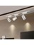 30 Watt Ray Spot Set Beyaz Kasa Beyaz Günışığı Renk Seçenekli 1 mt Ray Dahil 1