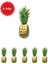 Ananas 6'lı Avantaj Paketi (Taze & Sulu Tropikal Lezzet) 1