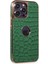 Iphone 14 Pro Kılıf Snake Kapak - Koyu Yeşil 1