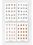 6'lı Sticker Seti / Bullet Journal / Scrapbook / Ajanda Etiket Seti / Sticker Book 4