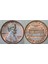 Amerika Birleşik Devletleri 1 Cent 1980 Lıncoln Memorıal Cent. 19 mm Çilaltı 1