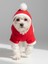 Snow Bear Kırmızı Xmas Köpek Kıyafeti | Kapüşonlu Polar Noel Sweatshirt | Küçük Irklar Için 4