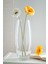 Paşabahçe Cam 26 cm Silindir Zarif Flora Vazo Canlı Çiçek Vazosu 1