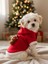 Uncle Teddy Kırmızı Xmas Köpek Kıyafeti | Kapüşonlu Polar Noel Sweatshirt | Küçük Irklar Için 5