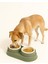 Çift Bölmeli Kedi Köpek Mama Kabı – Pratik ve Dayanıklı Mama Kabı 3