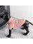 Kedi ve Köpek Için Simli Pembe Kazak 6