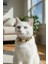 Biba Pet Leopar Zilli Kedi Boyun Tasması 2