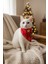 Biba Pet Yılbaşı Konsept Zilli Kedi Boyun Tasması-Kırmızı Çıkarılabilir Fular 1