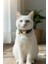 Biba Pet Yılbaşı Konsept Zilli Kedi Boyun Tasması-Kırmızı Çıkarılabilir Fular 3