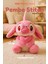 Stitch Pembe Sarılı Kalpli - Sevimli Stitch Peluş Oyuncak - Sarlıan Kalp Ile 25 cm 1
