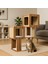 Katlı Kedi Tırmalama ve Oyun Evi 2 Yuvalı 18MM Mdf Minderli Premium Seri 3