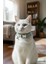 Biba Pet Sky Zilli Kedi Boyun Tasması 2