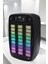 İEG Bluetooth Hoparlör RGB Işıklı USB SD Kart Girişli Taşınabilir 4