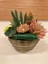 Yapay Skulent Pirinç Saksı Arajman Yükseklik 21 cm Çapı 18 cm 2