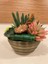 Yapay Skulent Pirinç Saksı Arajman Yükseklik 21 cm Çapı 18 cm 4