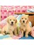 3X49 Parça Puzzle Puppies Renkli 3+ 3