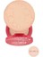 Pastel Profashion Stardust Highlighter Aydınlatıcı 322 1