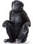 Dişi Bonobo, Oyuncak Figür 1